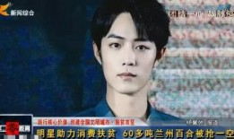 爆料杨姓艺人名单大全视频,杨姓艺人名单大全视频曝光，娱乐圈风云再起